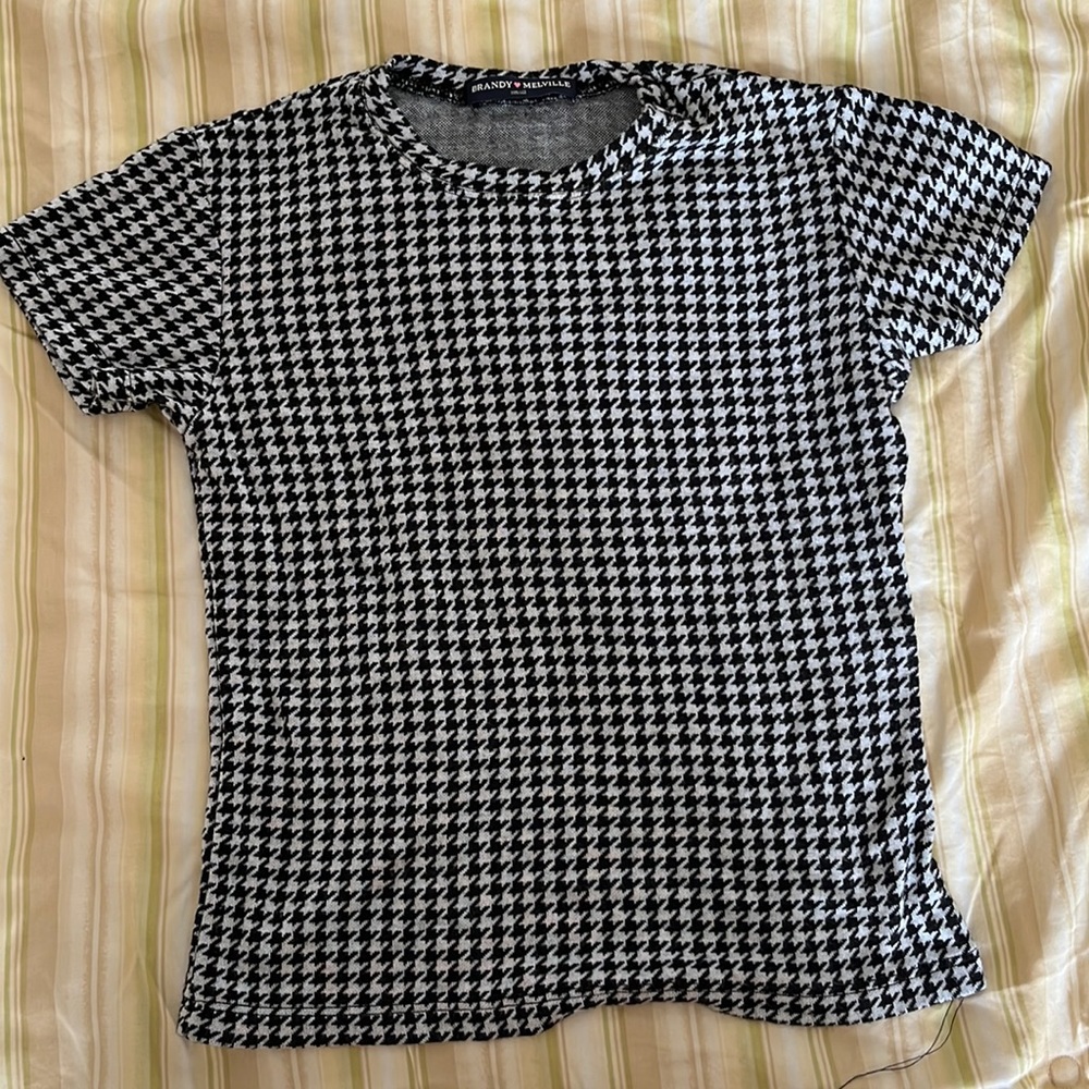 Brandy Melville Crop Top